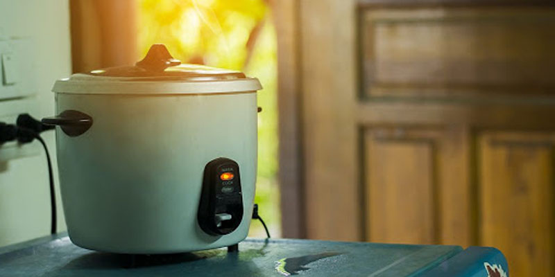 Best Electric Rice Cooker In India 2022