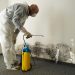 Mold Removal services in St Thomas and How to Choose Them?