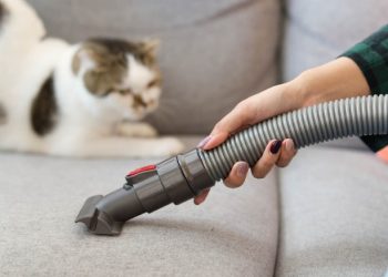 How do you vacuum your pet's hair
