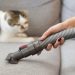 How do you vacuum your pet's hair